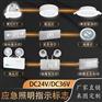 新国标A型应急照明集中电源DC24V/36V控制器分配电箱灯