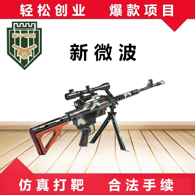 振宇协和游乐气炮新微波仿真打靶设备景区游乐场项目  气炮枪  气球打靶