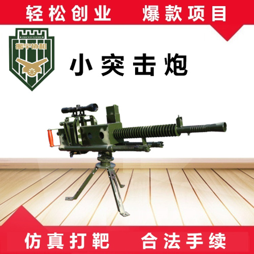 振宇协和小突击炮游乐气炮仿真打靶设备景区网红项目