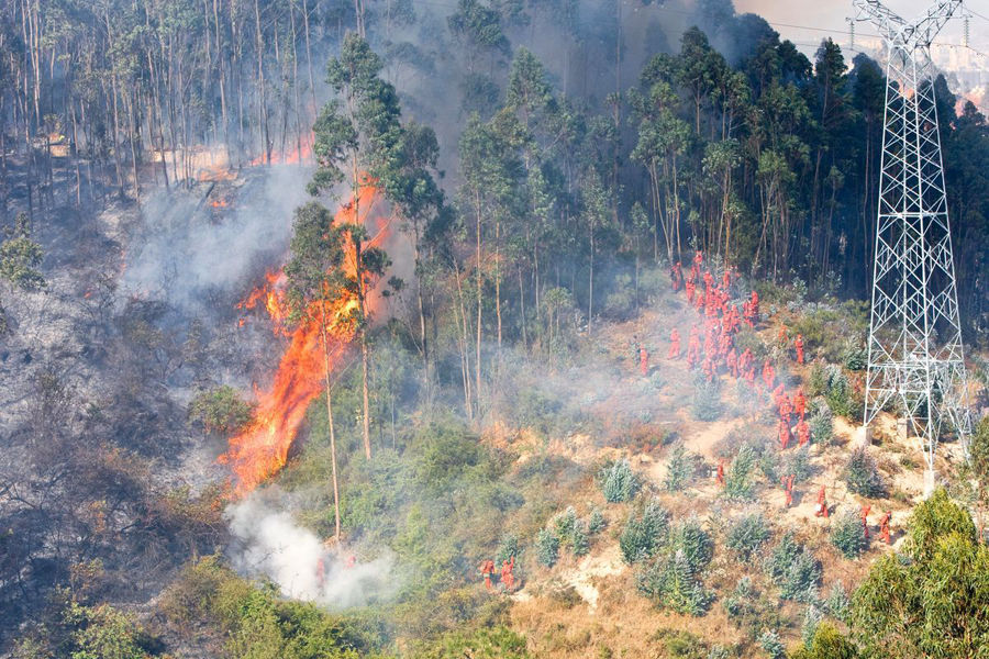 特力康线路防火视频监控系统厂商  防山火  实时监测