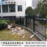 焊接式隔离栅 广州工厂外墙隔离栏 景区防爬护栏