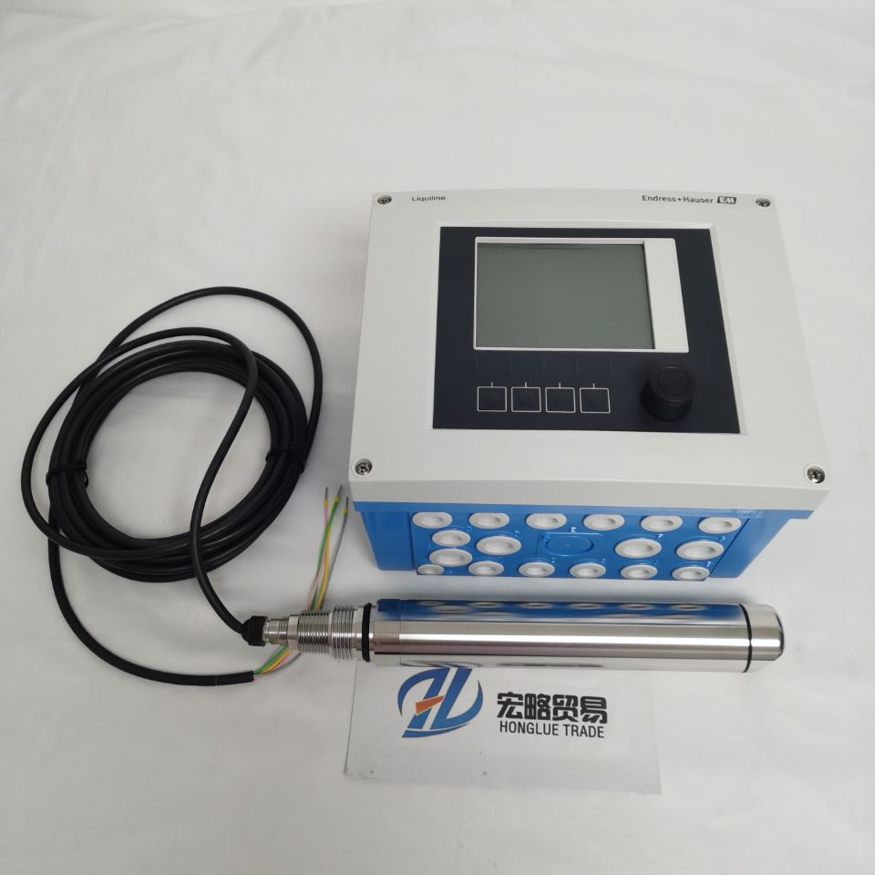 德国E+H卫生型浊度传感器Turbimax CUS52D  CUS52D浊度探头  E+H浊度仪