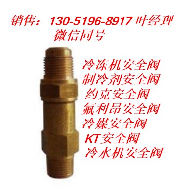 英国KT安全阀12DG13FNCF、12EH16FNCF  制冷剂安全阀  约克安全阀