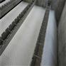 pp材质斜板沉淀池澄清水过滤蜂窝斜管填料50mm