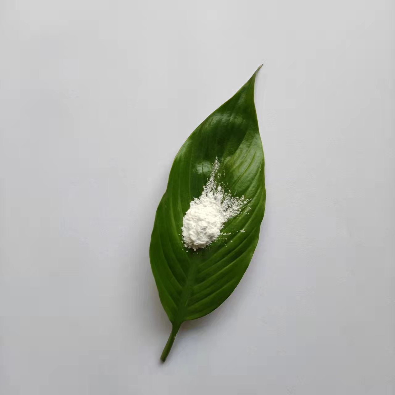 九朋20%PMA丁酮醇30纳米氧化锌分散液CY-J30C