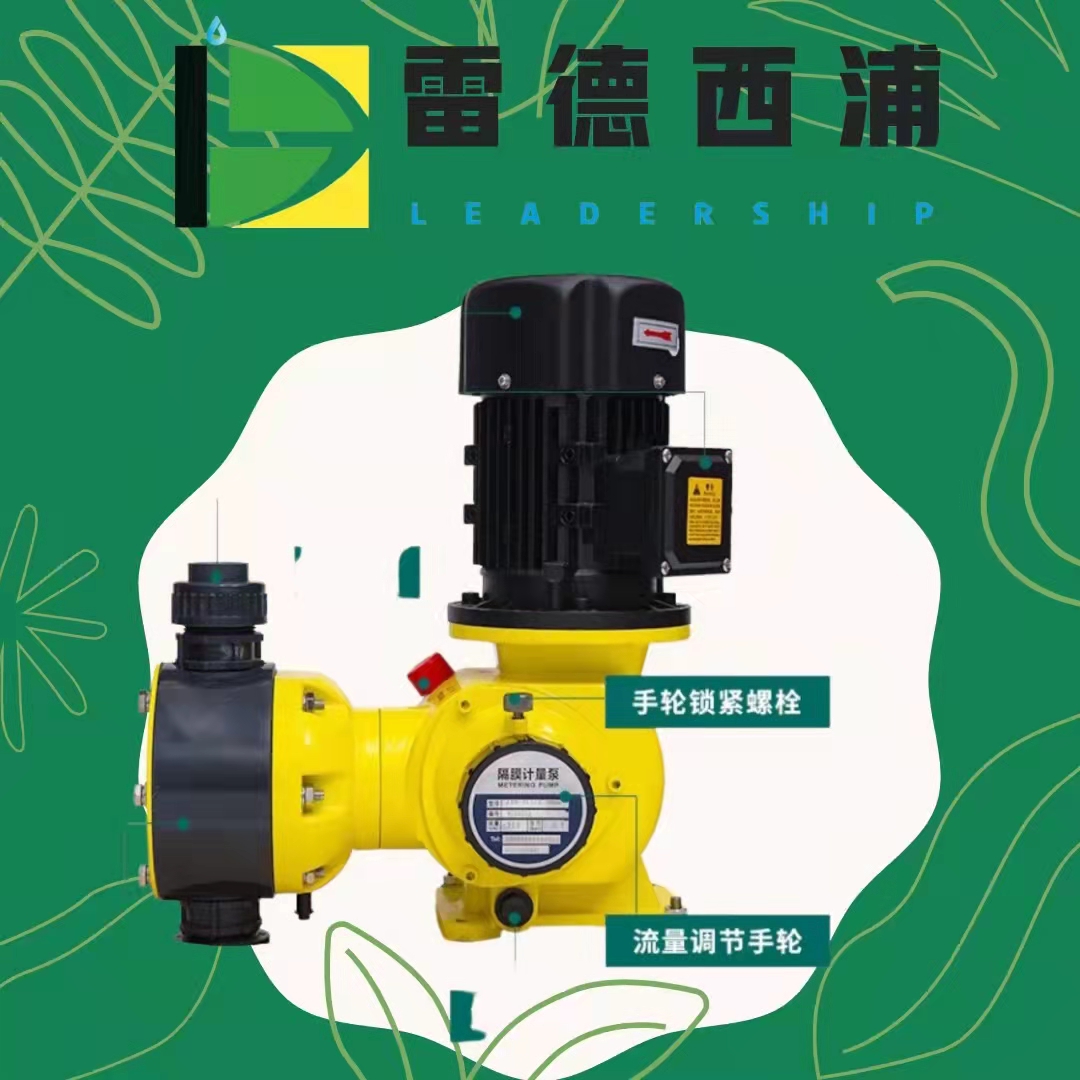 山东雷德西浦机械隔膜计量泵JXM170/0.7  水处理  环保