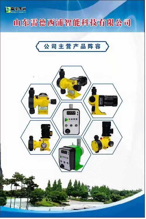 山东雷德西浦机械隔膜计量泵JXM170/0.7  水处理  环保