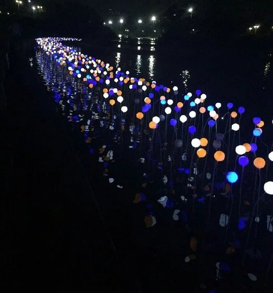 发光地插灯出租出售玫瑰花灯将盛开当代薰衣草风情园  灯光展  光影展