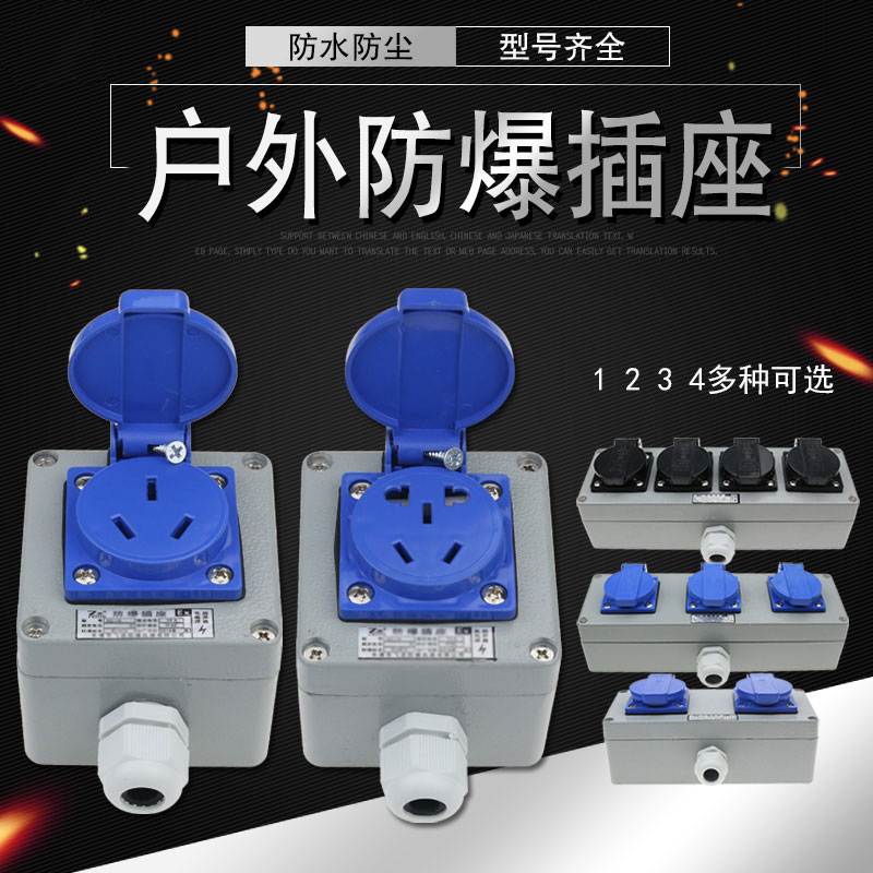 86型插座明/暗装防爆插座单联双联三联四联AC-10A16A&nbsp;&nbsp;防爆墙壁插座&nbsp;&nbsp;AC-10/16&nbsp;&nbsp;明装/暗装