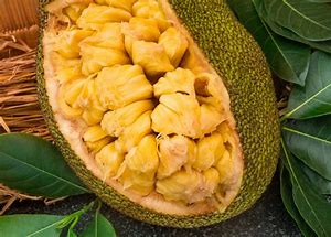 夏季菠萝蜜泰国进口水果报关操作&nbsp;&nbsp;进口菠萝蜜&nbsp;&nbsp;菠萝蜜清关