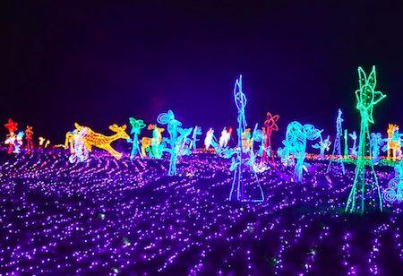 互动发光出租出售LED发光互动地砖灯LED发光互动地板灯  灯光展  光影展