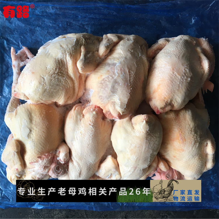 冷冻老母鸡批发山东老母鸡生产厂家供应货源稳定  冻白条鸡  冷冻整鸡