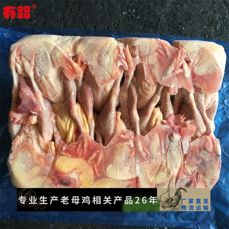 冷冻老母鸡批发山东老母鸡生产厂家供应货源稳定  冻白条鸡  冷冻整鸡