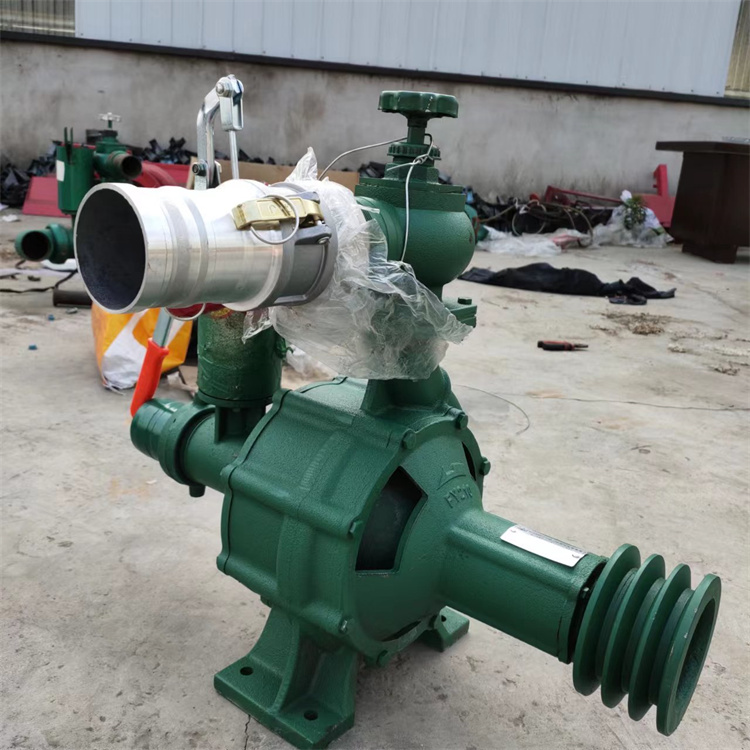 浇地水泵邵阳新邵农用灌溉水泵哪种好