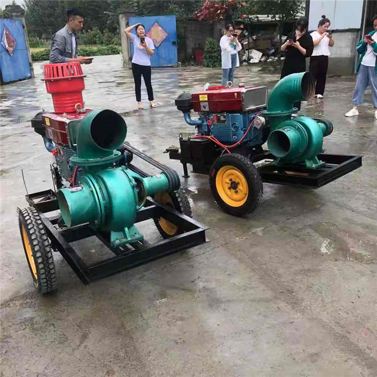 高扬程高压汽油机柴油机蚌埠龙子湖农用灌溉水泵8寸