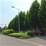 太原路灯5米海螺臂LED路灯 路灯路灯杆厂家