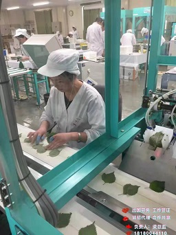 成都出国打工诚招生产普工、检验员等月薪2.8万起  劳务输出  澳大利亚新西兰