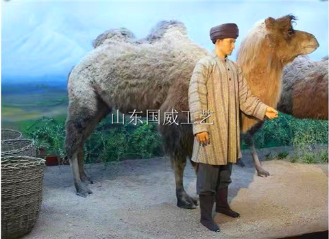 生态仿真骆驼标本模型  生态骆驼模型