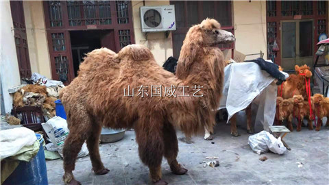 生态骆驼标本展览仿真骆驼模型订制
