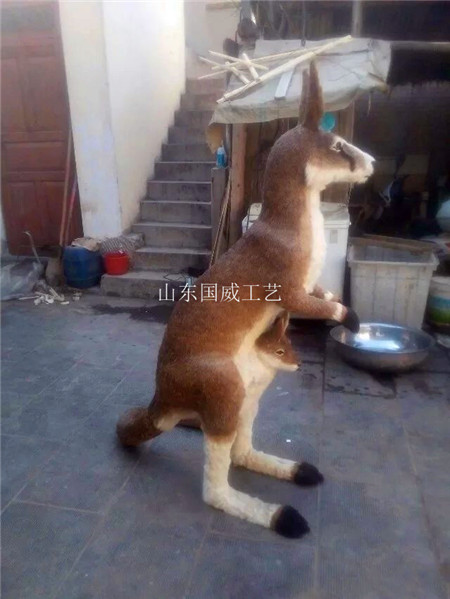仿真袋鼠手工标本展览电动仿真袋鼠模型  仿真袋鼠标本