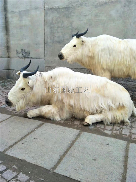 仿真羚牛生态标本展览羚牛模型  仿真羚牛模型  展览羚牛生态模型