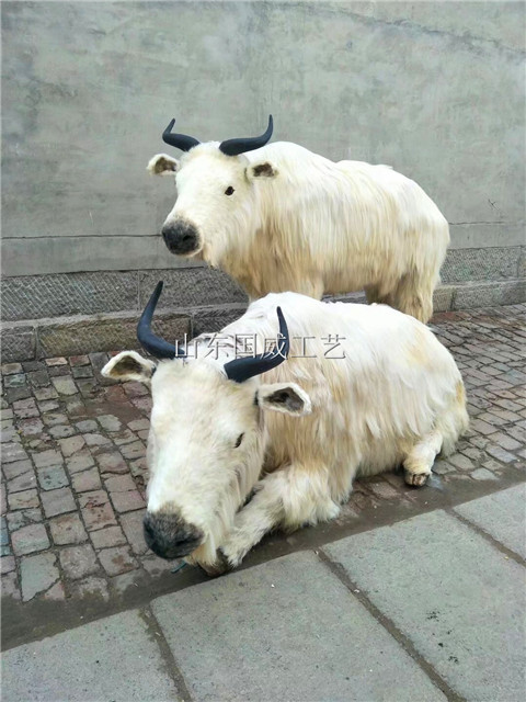 仿真羚牛生态标本展览羚牛模型  仿真羚牛模型  展览羚牛生态模型