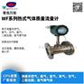DN100插入式质量流量计 带485通讯 青岛万安仪器仪表