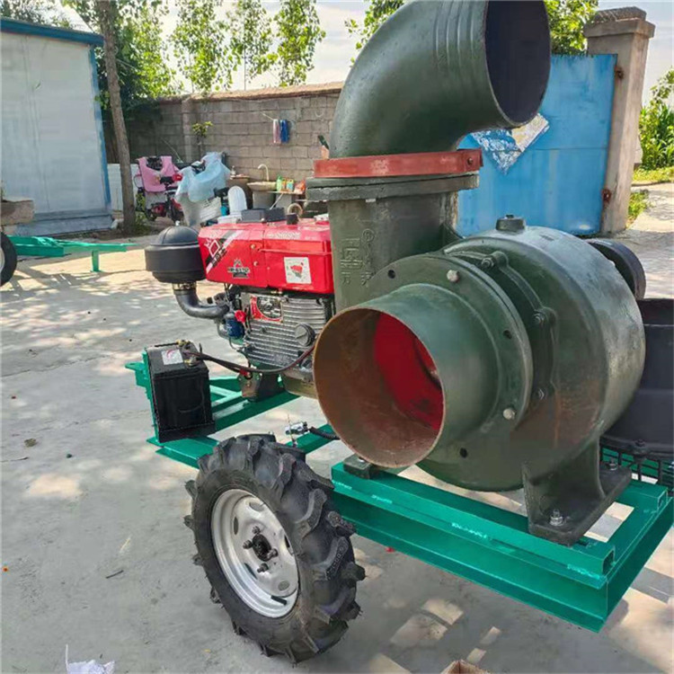 灌溉污水泵宁蒗彝族自治建筑工地抽水