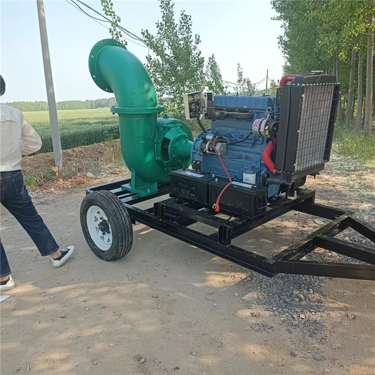 防汛排水联合督导方案镇康2寸汽油抽水机