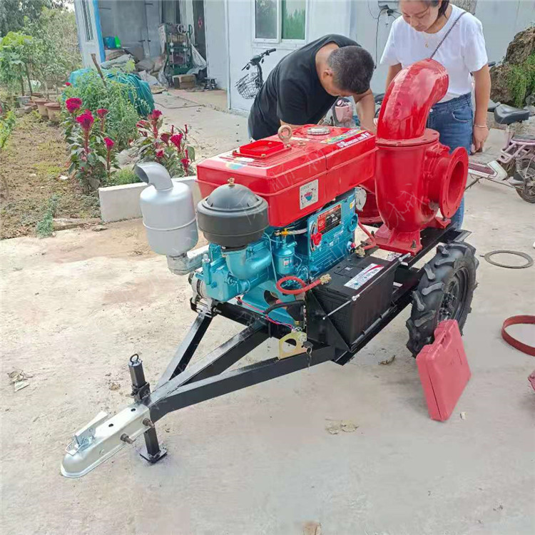灌溉的水泵永泰便捷式自吸泵