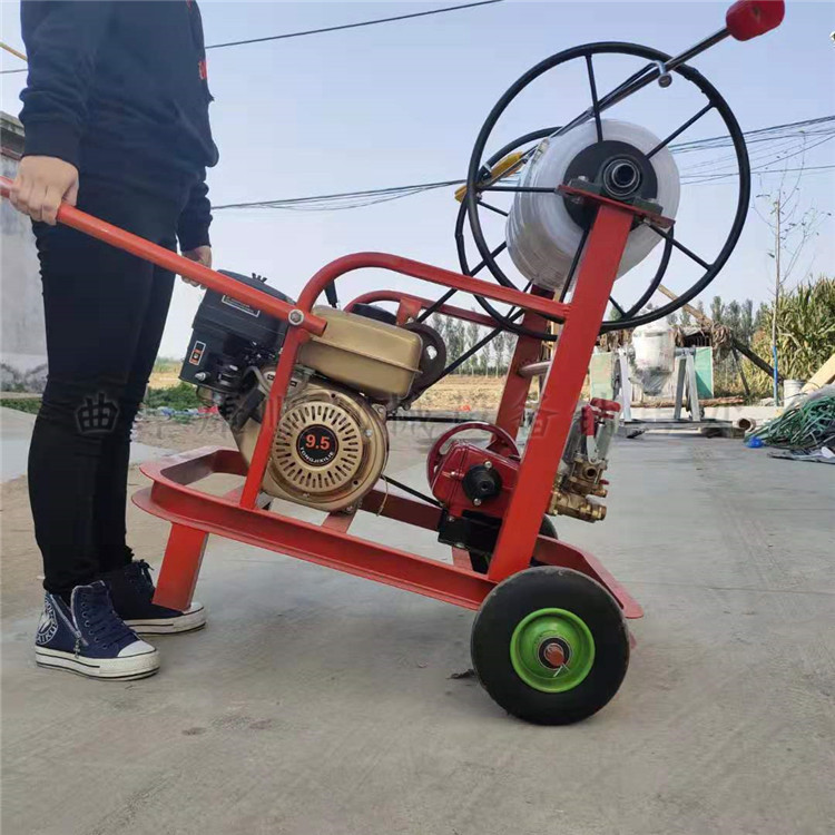 排行榜卧龙杀虫消毒打药机