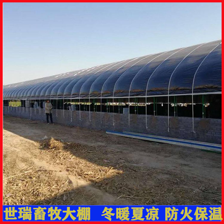 现代化养猪大棚建设 钢架猪舍大棚搭建 养猪大棚安装厂家