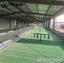 羊用漏粪板 塑料羊舍漏屎地板 羊场漏粪板安装