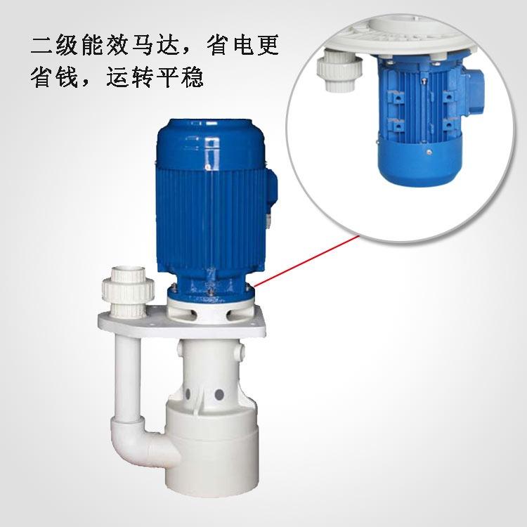 耐酸碱槽内立式泵SWP系列