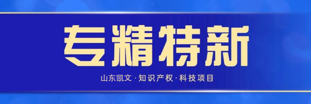 专精特新重点领域