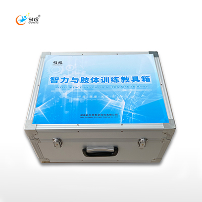 智力与zhi体训练教具箱蒙台梭利教具儿童康复设备厂家  智力训练教具箱