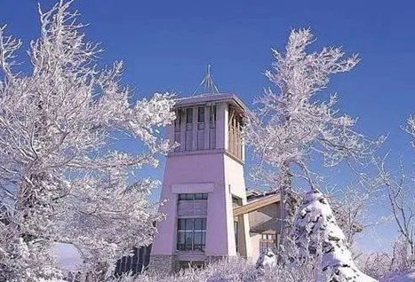 武汉光谷高中留学韩国入学要求条件找湖北上泽韩国留学