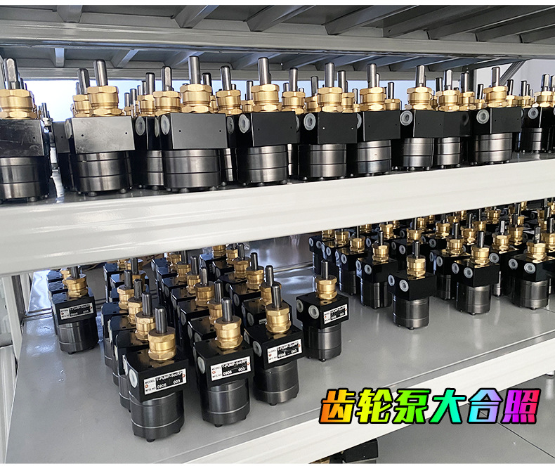 DISK油漆齿轮泵  喷涂供油泵  小型齿轮泵