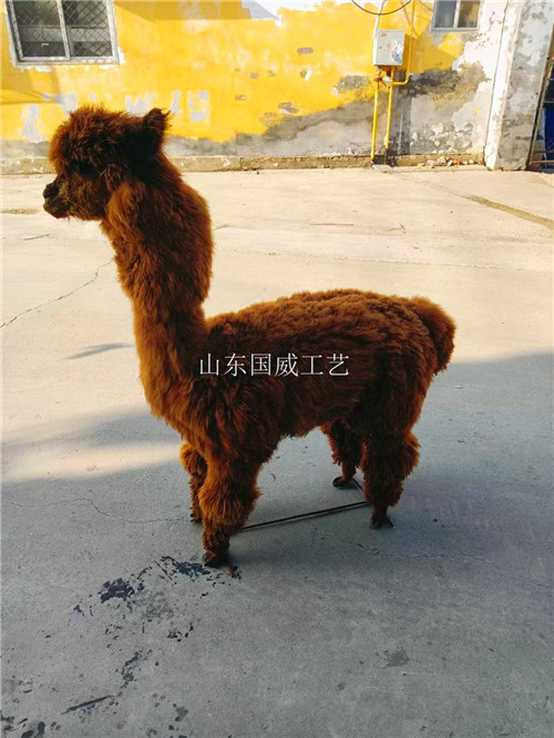 仿真羊驼生态模型  仿真羊驼模型  生态羊驼模型