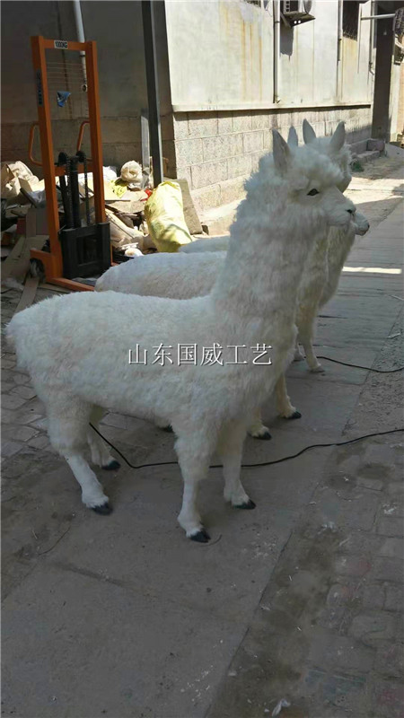 真皮仿真羊驼标本  真皮羊驼标本