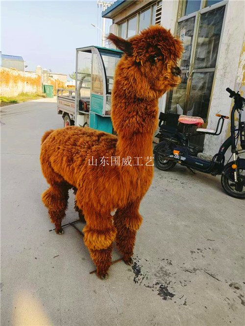 影视仿真羊驼道具展览羊驼模型  仿真羊驼模型