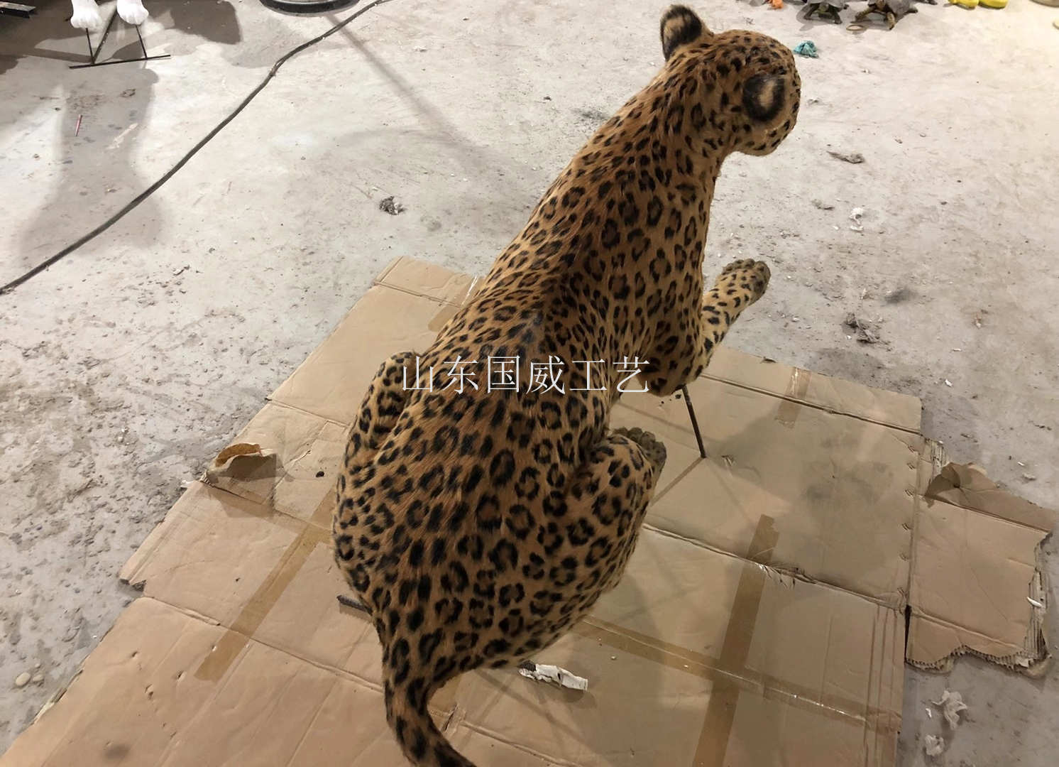 仿真金钱豹生态展厅布景展览仿真金钱豹模型  仿真金钱豹展厅布景