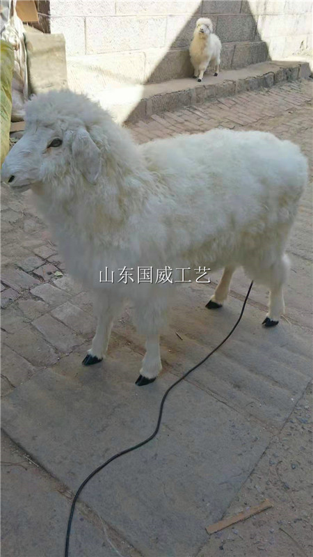 仿真绵羊模型真皮绵羊标本影视仿真绵羊道具