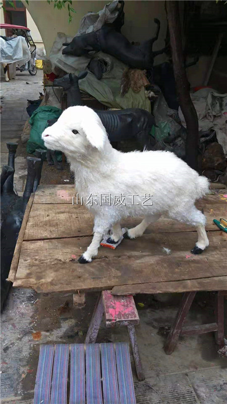 仿真绵羊模型真皮绵羊标本影视仿真绵羊道具