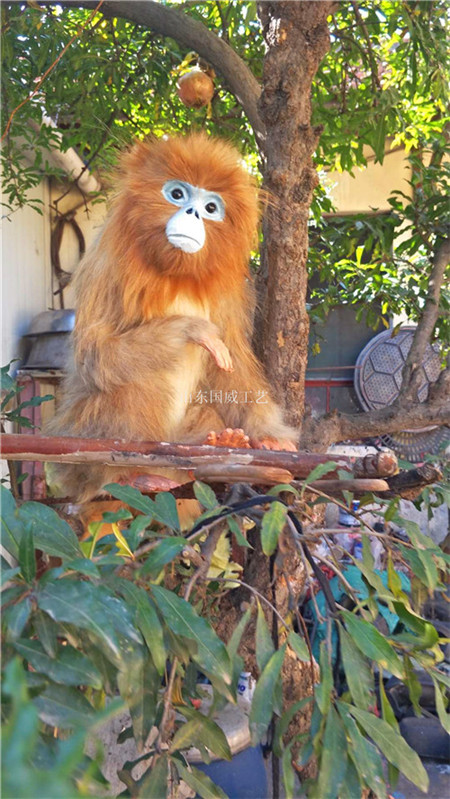 仿真猴子生态展厅布景仿真猴子设计模型  仿真猴子模型