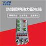 安宇防爆BXMD53加油站用防爆照明动力配电箱