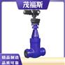 南宁供应电站闸阀Z962Y-P54-140V高温高压电站闸阀