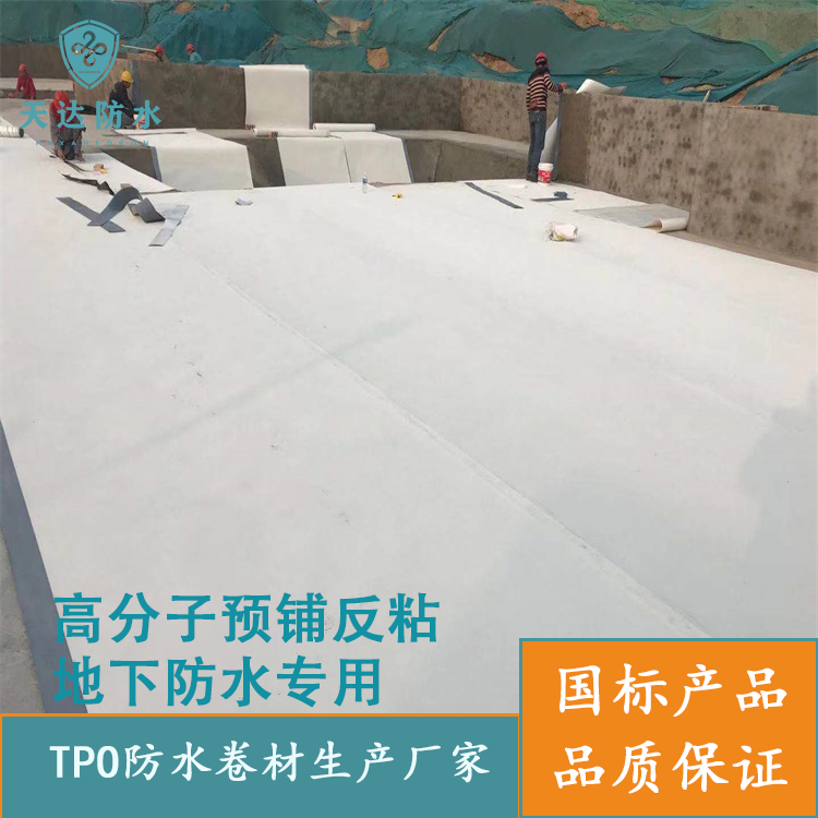 1.5厚自粘tpo高分子防水卷材  tpo防水卷材  自粘tpo防水卷材