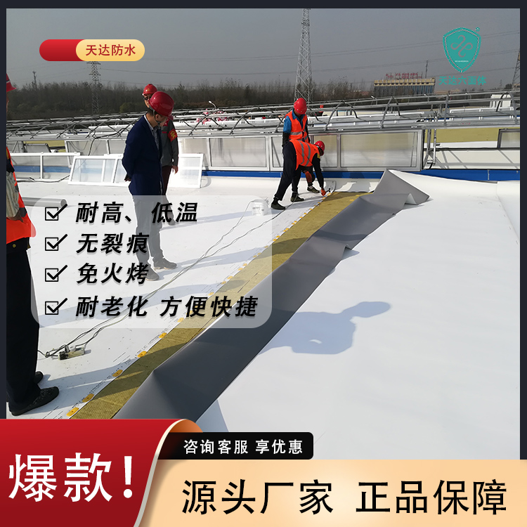 天达丙烯酸防水涂料水性涂料