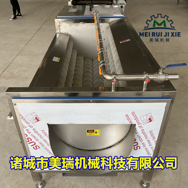 大姜毛辊去皮清洗机 多功能毛滚清洗机 全自动土豆去皮机